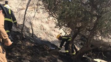 الدفاع المدني يخمد حريقا في جبل أثرب بمحافظة بارق