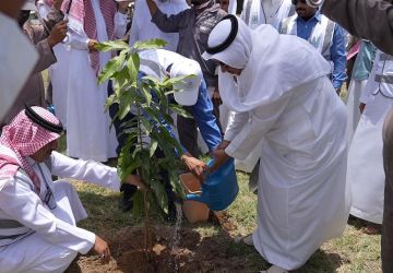 محافظ العرضيات يدشن مبادرة لزراعة 150 ألف شجرة في تهامة ومحيطها حتى 2030