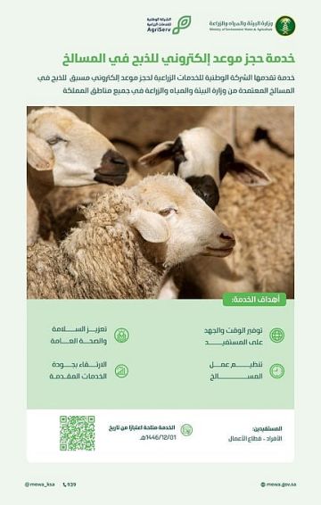 البيئة: إطلاق خدمة حجز موعد إلكتروني للذبح لتوفير الوقت وتنظيم عمل المسالخ