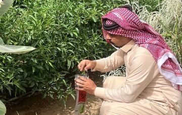 جولات رقابية في خليص ورابغ لفحص متبقيات المبيدات في المنتجات الزراعية