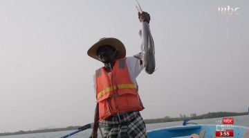 ستون عاما في حضن الموج.. العم إبراهيم يروي حكاية العمر على ظهر البحر