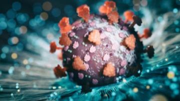 متحور نيمبوس يثير القلق عالميا أعراض غير معتادة وانتشار متسارع متحور نيمبوس يثير القلق عالميا أعراض غير معتادة وانتشار متسارع