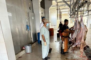 شقراء تستعد لموسم الأضاحي بخطط تشغيلية وجولات رقابية ومبادرات تطوعية