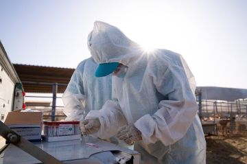 وقاء يسهم في تعزيز بيئة آمنة ومستدامة لضيوف الرحمن خلال موسم الحج وقاء يسهم في تعزيز بيئة آمنة ومستدامة لضيوف الرحمن خلال موسم الحج