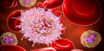 بدون الكيميائي.. مزيج من دوائين يكافح سرطان الدم لدى 94 من المرضى