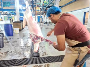 بيئة عسير: أكثر من 18 ألف أضحية في مسالخ عسير خلال عيد الأضحى