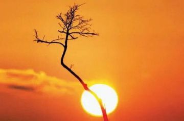 الحصيني: السبت القادم أول أيام مربعانية القيظ بـ39 يوما.. وتتعامد فيه الشمس على مدار السرطان