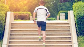 الأحمدي: صعود الدرج يقلل خطر الوفاة بنسبة 24 ..فيديو