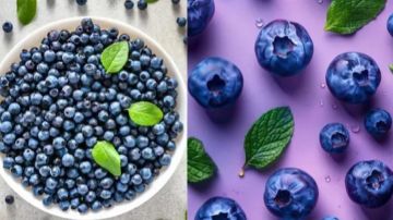 فوائد مذهلة للتوت الأزرق للوقاية من التجاعيد فوائد مذهلة للتوت الأزرق للوقاية من التجاعيد
