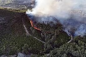 حرائق ضخمة تلتهم ريف اللاذقية لليوم الرابع.. و10 آلاف هكتار تحت اللهب