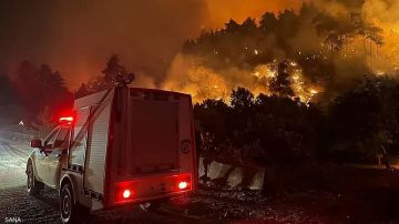 10 آلاف هكتار تلتهمها النيران في اللاذقية.. وزير الطوارئ: نخوض معركة مع الرياح والجفاف