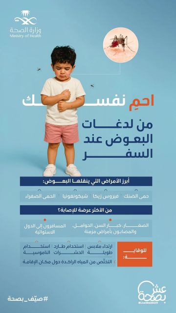 أمراض خطيرة يسببها البعوض أثناء السفر.. الصحة تحذر وتوصي بـ 5 إجراءات وقائية