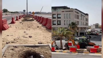 الخبر تبدأ زراعة 30 ألف شجرة ظل كبديل للنخيل .. فيديو