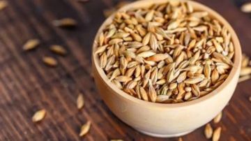 خبيرة: الشعير يحارب الكولسترول والاكتئاب ولا يغني عنه مشروب البيرة خبيرة: الشعير يحارب الكولسترول والاكتئاب ولا يغني عنه مشروب البيرة