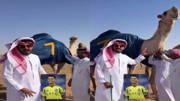 غازي الذيابي يسمي فحله الجديد الدون 7 حبا في النصر ورونالدو .. فيديو