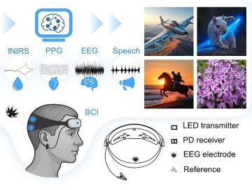 فكر وتخيل.. الصين تكشف عن واجهة عصبية للرسم عبر التفكير بتقنية تعتمد على إشارات الدماغ