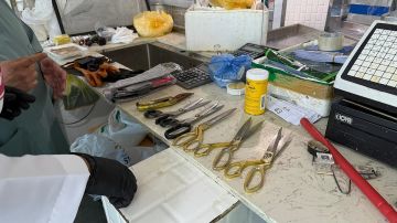 بيئة الرياض تصادر 20 كجم أسماك غير صالحة للاستهلاك وتحرر 20 مخالفة خلال جولات ميدانية