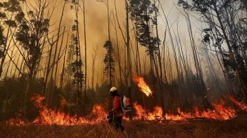 تحليل: الكوارث الطبيعية تسبب أضرارا بقيمة 131 مليار دولار في النصف الأول من 2025