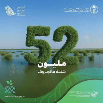 الغطاء النباتي يعلن زراعة 52 مليون شجرة مانجروف على سواحل المملكة بالتعاون مع الشركاء الغطاء النباتي يعلن زراعة 52 مليون شجرة مانجروف على سواحل المملكة بالتعاون مع الشركاء