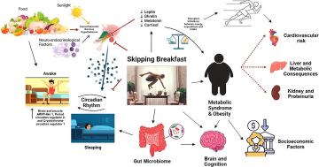 البروفيسور باهمام: الإفطار خلال ساعتين من الاستيقاظ مفتاح لصحة هرمونية ونفسية.. وتجاوزه يرتبط بمضاعفات