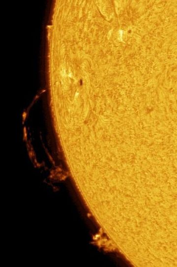 شاهد.. مرصد الختم الفلكي يوثق ألسنة لهب شمسية بعدسة تلسكوب متخصص