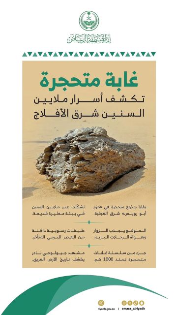 غابة متحجرة شرقي الأفلاج تكشف عن سجل جيولوجي يعود لملايين السنين