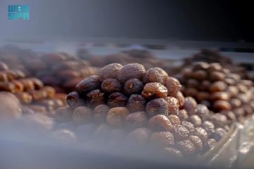 شاهد من القصيم .. تجارة التمور نشاط موسمي ينعش الحركة الاقتصادية