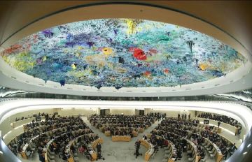 الأمم المتحدة لحقوق الإنسان: تعمد قتل عمال الإغاثة في غزة يرقى إلى جرائم حرب