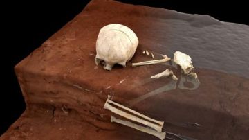 اكتشاف مروع لعظام بشرية لأطفال أثناء تجديد منزل فاخر اكتشاف مروع لعظام بشرية لأطفال أثناء تجديد منزل فاخر