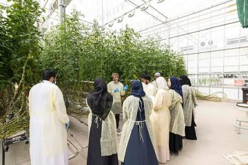 متحدث مركز استدامة: الشراكة مع نيوم للغذاء تساهم في تأهيل وتوظيف الكوادر الوطنية في القطاع الزراعي