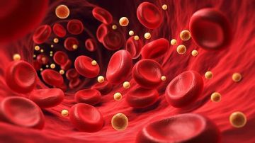 تحذير طبي: الكولسترول النافع قد يتحول لعدو للشرايين إذا تجاوز هذا الحد