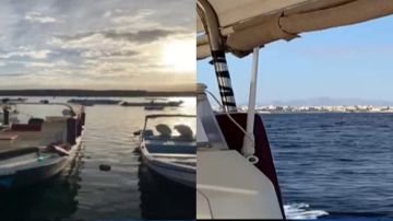 سحر الطبيعة بضفاف مدينة الوجه في قلب البحر الأحمر يمتد من عمق البحر إلى عمق القلب.. فيديو