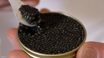الكافيار خطر صامت لمرضى القلب والضغط.. النمر يحذر من جرعة صوديوم قاتلة