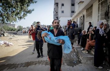 قصف إسرائيلي على مخبز وخيام نازحين في غزة يخلف 15 شهيدا وعددا من الجرحى قصف إسرائيلي على مخبز وخيام نازحين في غزة يخلف 15 شهيدا وعددا من الجرحى