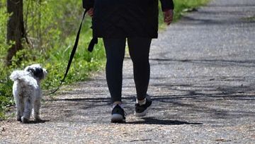 دون مسكنات.. دراسة: تعديل زاوية القدم أثناء المشي يخفف آلام المفاصل ويبطئ تآكل الغضروف