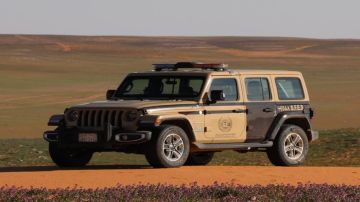 ضبط مخالف لاستخدامه حطبا محليا في أنشطة تجارية في عسير