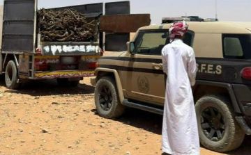 ضبط مواطن مخالف لنظام البيئة لنقله حطبا محليا في محمية الإمام تركي الملكية ضبط مواطن مخالف لنظام البيئة لنقله حطبا محليا في محمية الإمام تركي الملكية