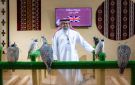 المزرعة الإنجليزية فالكون ميوز تشارك بـ 100 صقر في المزاد الدولي لمزارع إنتاج الصقور 2025 - sa