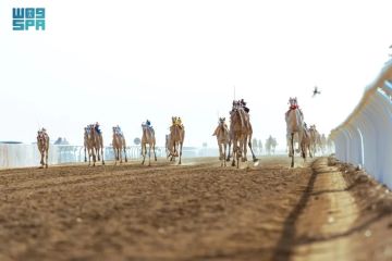 مهرجان ولي العهد للهجن ساهم في تسويق ثقافة عربية أصيلة للعالم