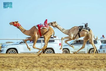 ميدان الطائف التاريخي يشهد انطلاق أول أشواط كؤوس مهرجان ولي العهد للهجن ميدان الطائف التاريخي يشهد انطلاق أول أشواط كؤوس مهرجان ولي العهد للهجن