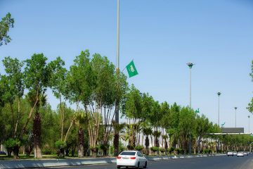 تبوك تتوشح بـ8000 علم وتحتفي باليوم الوطني الـ95 بـ50 فعالية متنوعة