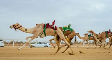 «اجتياز» تـهدي السعودية ثالث كؤوس مهرجان ولي العهد للهجن «اجتياز» تـهدي السعودية ثالث كؤوس مهرجان ولي العهد للهجن