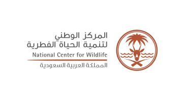 مدير الحياة الفطرية: استخراج تراخيص الصيد في أقل من دقيقة عبر منصة فطريات .. فيديو مدير الحياة الفطرية: استخراج تراخيص الصيد في أقل من دقيقة عبر منصة فطريات .. فيديو