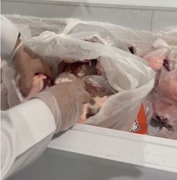 ضبط مستودع لحوم فاسدة في منزل بتبوك.. مصادرة 400 كجم قبل وصولها للمطاعم