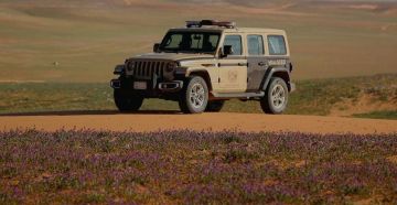 ضبط 3 مواطنين لارتكابهم مخالفة الشروع في الصيد دون ترخيص في محمية الإمام تركي بن عبدالله ضبط 3 مواطنين لارتكابهم مخالفة الشروع في الصيد دون ترخيص في محمية الإمام تركي بن عبدالله