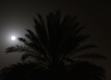 السعودية.. فيديو انفجار جسم في سماء حائل ليلا يثير تساؤلات