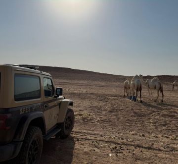 ضبط مواطن لارتكابه مخالفة رعي في محمية الملك عبدالعزيز الملكية ضبط مواطن لارتكابه مخالفة رعي في محمية الملك عبدالعزيز الملكية