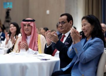 وزير الدولة للشؤون الخارجية يشارك في فعالية بشأن الجفاف