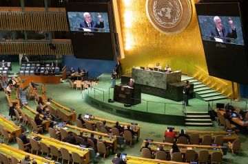 الأمم المتحدة تعتمد قرارا يمكن فلسطين من المشاركة عن بعد في اجتماعاتها