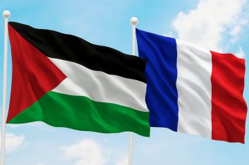 الخارجية الفلسطينية ترحب باعتراف فرنسا بدولة فلسطين